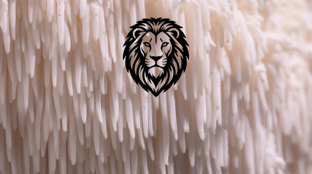 What Happens When You Distil a Mushroom Into a Gin?