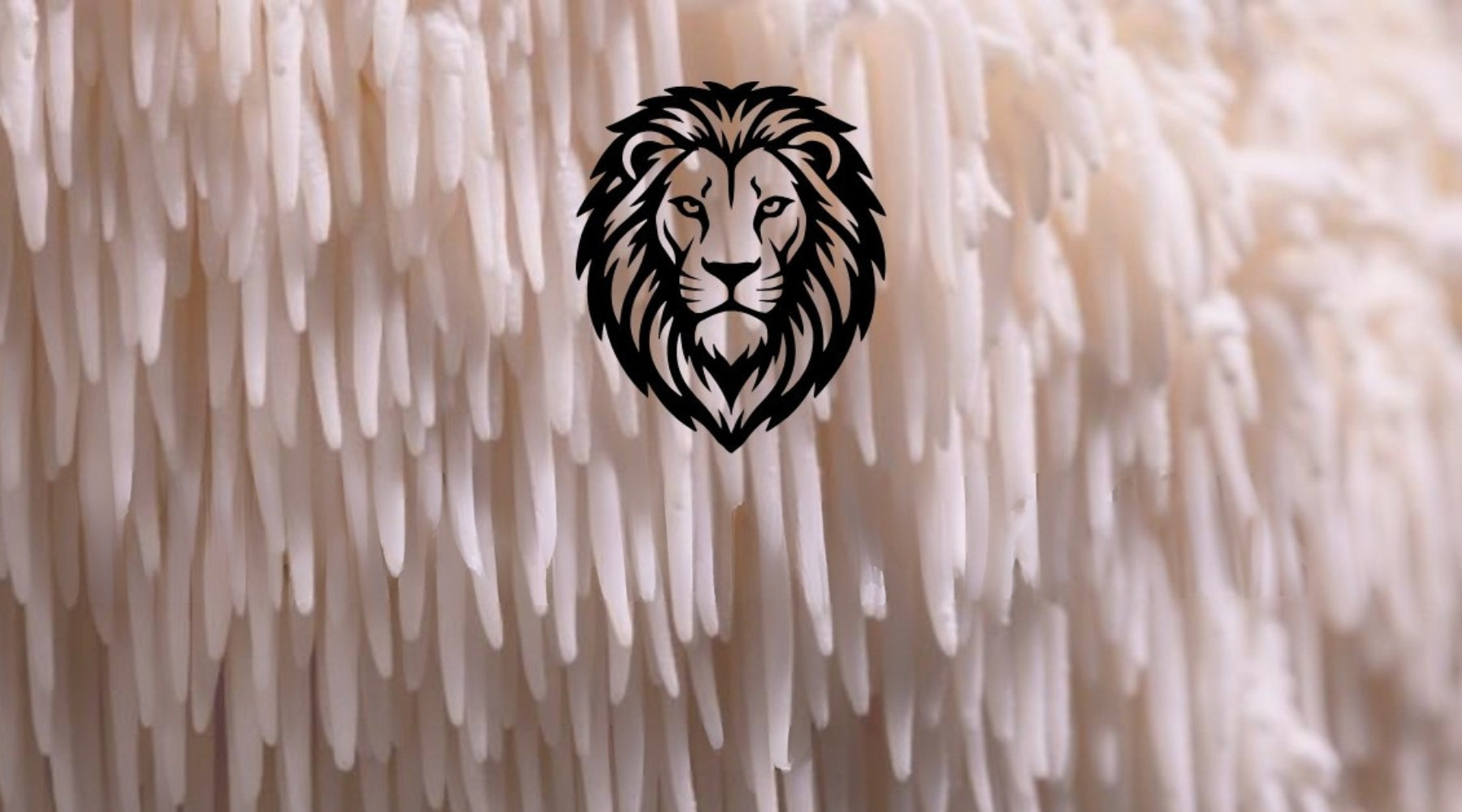 What Happens When You Distil a Mushroom Into a Gin?