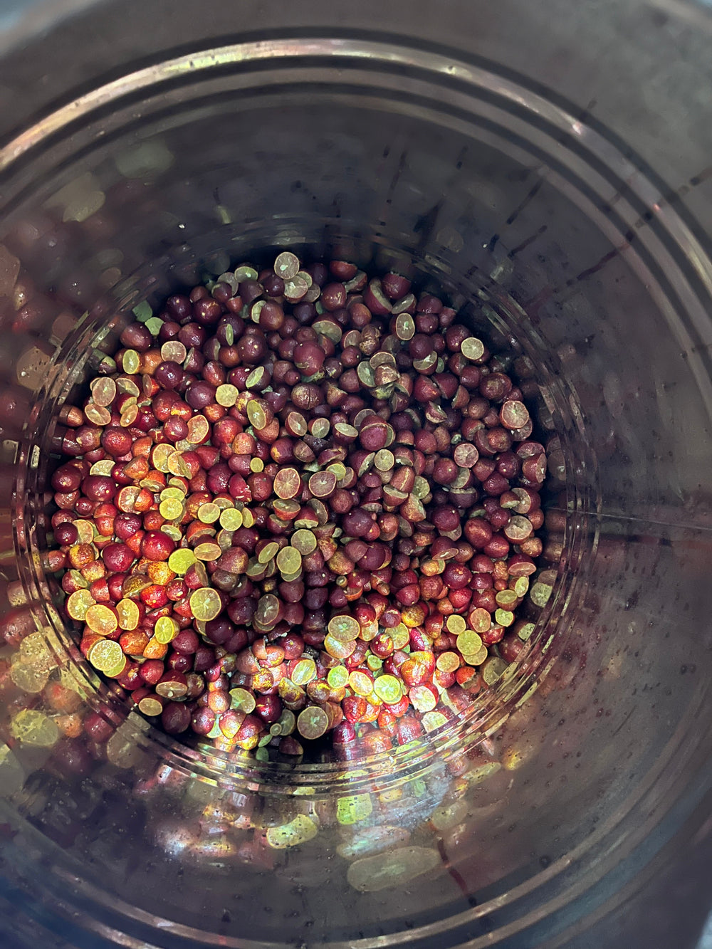 Blood Lime Gin
