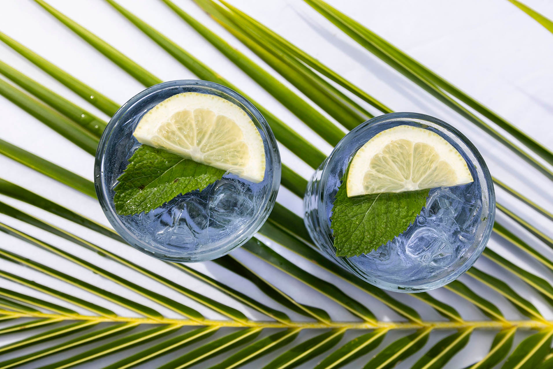 True North Gin