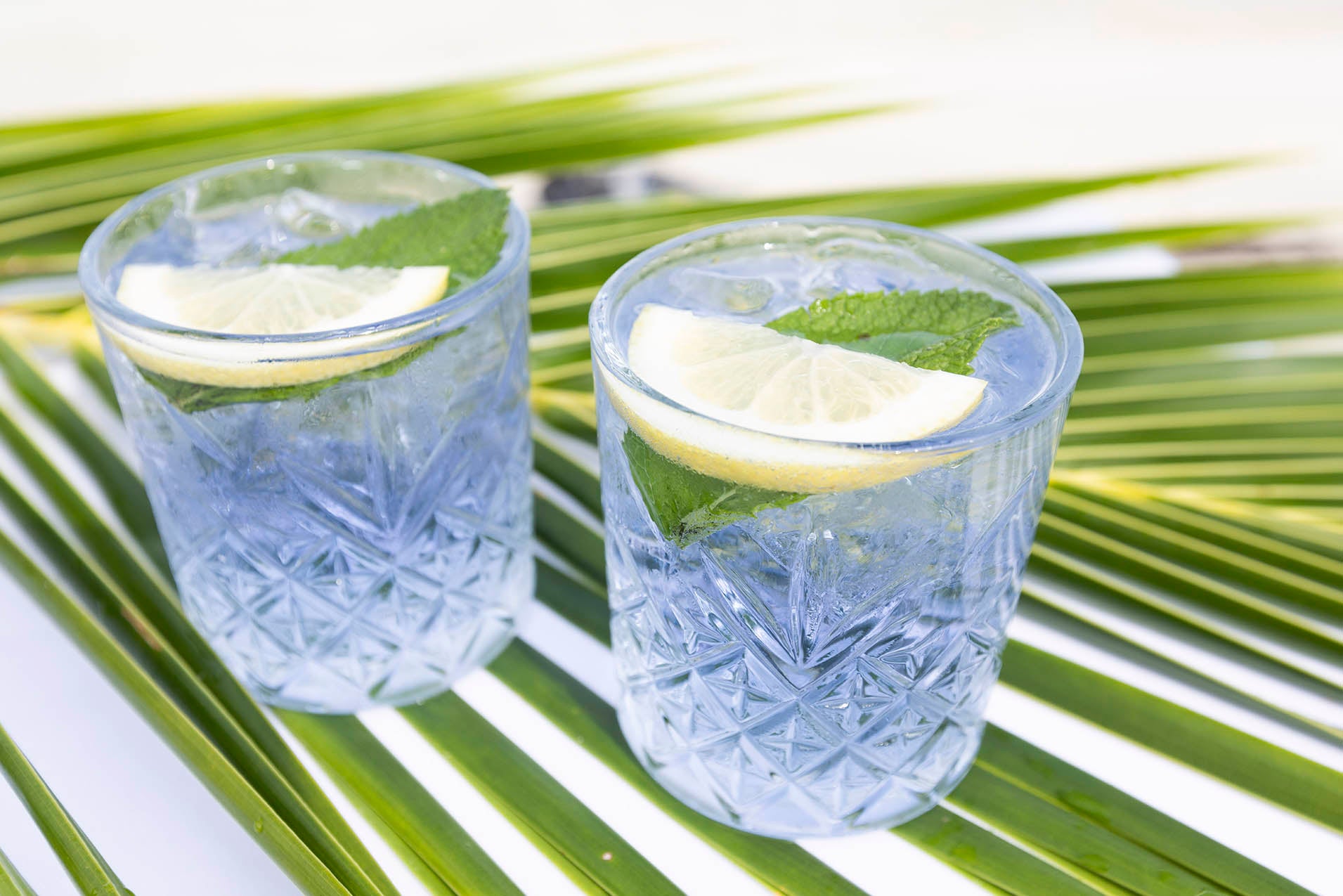 True North Gin