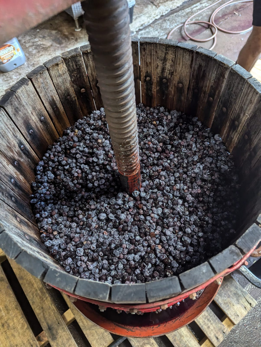Blue - Berry Gin Liqueur