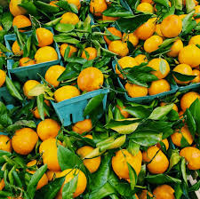 Myles | Beach Arancello