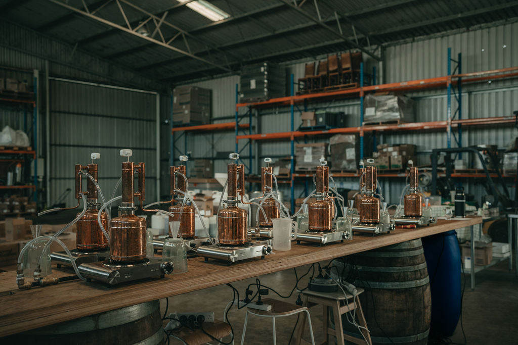 Beyond Make Your Own Gin Masterclass